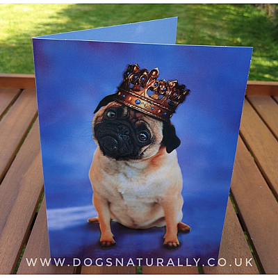 King Pug Birthday Card